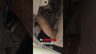 중고 k5를 사러갔더니?