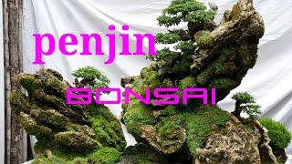 Penjin bonsai landscape