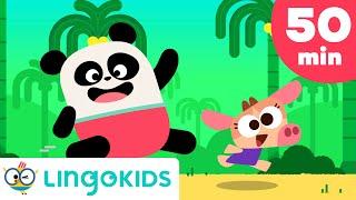 ACTION SONGS FOR KIDS | Nursery Rhymes | Lingokids