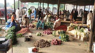 Fateh pur city ki fruit  mandi ka visit | hadi mian tv |