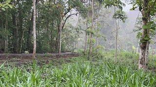 Suasana Pagi Hari di Desa Bunder Gunungkidul Yogyakarta