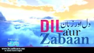 Dil aur Zabaan ┇ دل اور زبان ┇ #Dil #Zubaan  ┇ IslamSearch