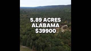 5.89 acres in Alabama for $39,900 #realestate #land #foryou #property #viral #shorts #alabama #fyp
