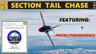 DCS World - CNATRA P-1213 - Chapter 1, Tail Chase Exercise w/PricklyHedgeHog72