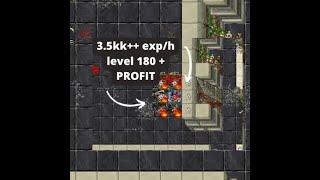 TIBIA GRIMS BEST KNIGHT EXP 3.5KK/H LVL 180+ PROFIT [ENG]