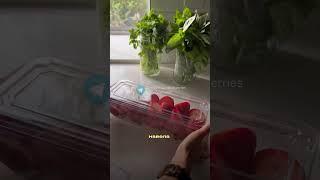 Просто лучший набор контейнеров с #wildberries #aliexpress #ozon #яндекс