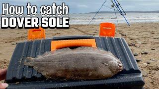 FISHING FOR SOLE - SWANSEA BAY