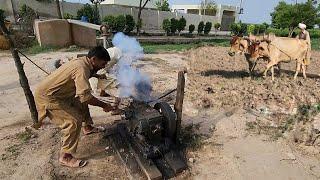 Village Life of Farmers in Pakistan | Peter Engine Starting | Plowing with Bulls