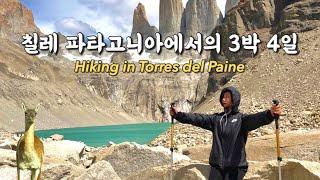 2023 Patagonia Travel Vlog| Hiking in Torres del Paine | 4 Best restaurants in Puerto Natales