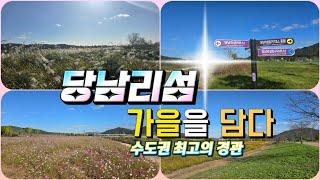 당남리섬의 가을을 담아보다.