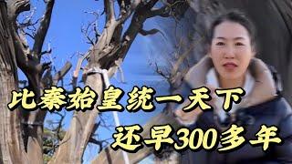 比秦始皇统一天下还早300年#歷史 #歷史人物