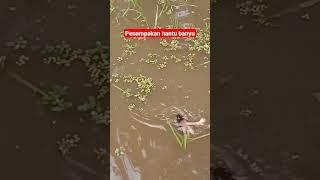 Viral Penampakan (Onggo Inggi) Hantu Air Jawa - Demit Banyu Jowo