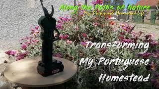 TRANSFORMING MY PORTUGUESE HOMESTEAD (Pruning, cutting and clearing my central Portugal land) *49