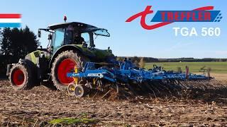 Flat cultivation of maize stubble | Treffler TGA 560 // Claas Arion 650 | Luxembourg 2024