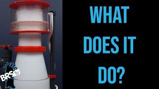 What Is a Protein Skimmer and Do You Really Need One? | Ep.1 BRStv Guide to Skimmers