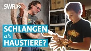 Der Reptilfluencer: Zwischen Schlangen-Zucht und YouTube-Karriere