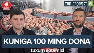 Bir kunda 100 ming dona tuxum sotamiz — Progress Parranda fabrikasiga sayohat