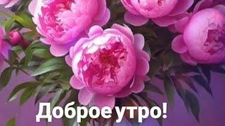 Доброе утро-это когда на душе как-то удивительно хорошоПрекрасного настроения 