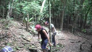 Galera dançando no pau