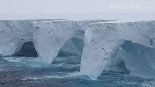 Aerial shot of iceberg A23a, encountered in the Southern Ocean near the Weddell Sea. January. 2024.