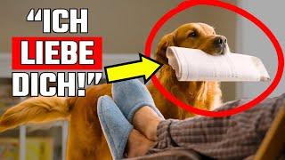 10 Seltsame Arten, wie dein Hund „Ich liebe dich“ sagt – ganz ohne Worte