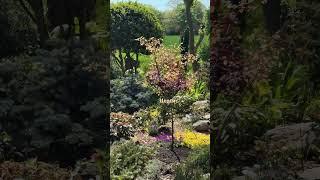 Мой сад - мой маленький Рай  Сделано с любовью ️Mein Garten  11.05.25