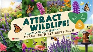 Create a Wildlife Habitat: Attract Butterflies, Bees, & Birds!