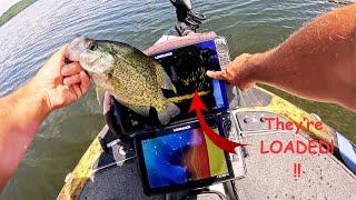 MAKE Finicky CRAPPIE Bite With This SIMPLE TRICK!!!