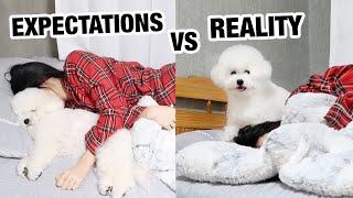 Owning A Dog: Expectations vs. Reality