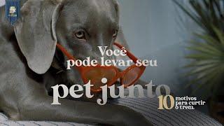 10 Motivos Para Curtir o Trem | Passeio PetFriendly e café da manhã