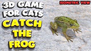 3D game for cats | CATCH THE FROG (isometric view) | 4K, 60 fps, stereo sound