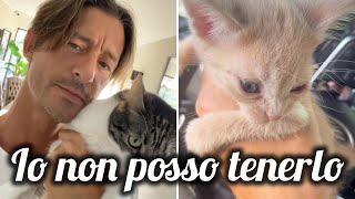 Francesco Oppini: ho trovato un gattino che potevo adottare, ma purtroppo non è il momento