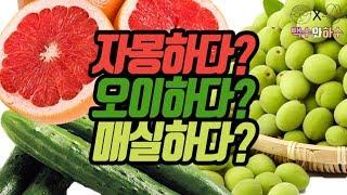 자몽하다? 오이하다? 매실하다? 뜻이 있다고? [백수와하수]