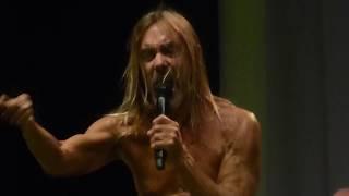 Iggy Pop - Repo Man [Live at A Campingflight To Lowlands Paradise - 18-08-2017]