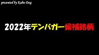 2022年テンバガー候補銘柄
