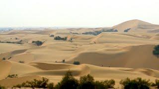 SHIFTING sand dunes of the Thar Desert. INDIA