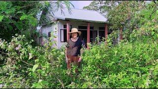 The very successful Mrs. Hong returned to her deceased grandparents' old house to renovate it.