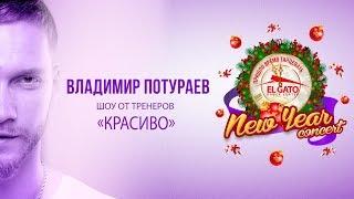 EL GATO D.C. SHOW | Vova Poturaev