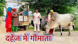 दहेज में गौमाता  #emotional haryanvi #natak #parivarik #episode short #movie Balhara Sanskar