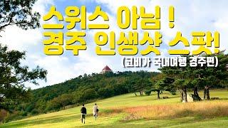 경주 인생샷 스팟! 코비가 추천 경주 핫플레이스 여행지 [국내여행]