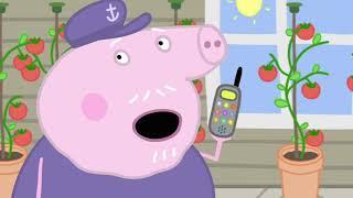 Peppa Pig S03E41 Champion Daddy Pig