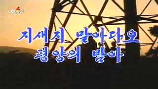 Pochonbo Electronic Ensemble - 지새지 말아다오 평양의 밤아 (Don't Advance, Night of Pyongyang)