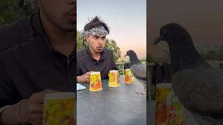 Kabuter ne kya ker Diya️ #pigeon #shortvideo #shortsfeed #ytshorts #viralvideo #spkabutarclub