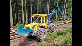 HSM 904 & Ponsse Buffalo • Skidder & Forwarder • Langholz Rückung • Slope Hang • Alterauge