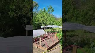 отдых #переезднаюг #дача #частныедома #новыедеревенские #shortvideo
