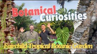 Meet TONS of Fascinating Plants! Fairchild Tropical Botanic Garden Miami 