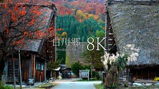 【日本三大秘境】白川郷の紅葉を訪ねて - Japan in 8K