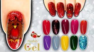 Cute Robin Nail Art & Premier Gel Christmas Collection 2019