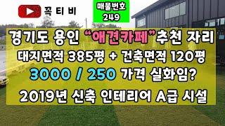 경기도 용인"애견카페"추천자리-대지면적 385평+건축면적120평3000/250가격 실화임?2019년 신축 인테리어 A급 시설