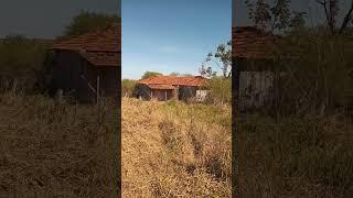 Casa abandonada no Pasto local Isolado